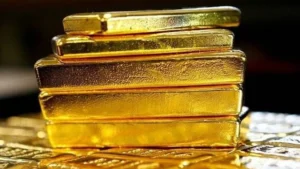 Tịch thu 50 kg vàng và 15 tỷ đồng của doanh nghiệp vận tải Golden Transport tại Ấn Độ